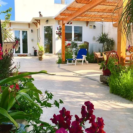 Irenemarchese Gluten Free B&B