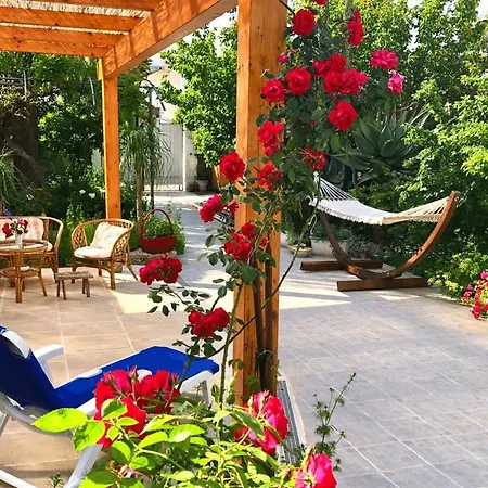 Bed and breakfast Irenemarchese Gluten Free 3*