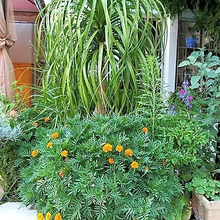 Bed and breakfast Irenemarchese Gluten Free Taviano (Lecce)